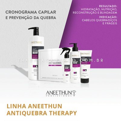 _0005_banner-aneethun-antiquebra-